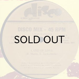 画像2: LOUIS RAMIREZ (LOUIE RAMIREZ) / LAND OF LOVE (12) (2)