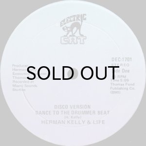 画像3: HERMAN KELLY & LIFE / DANCE TO THE DRUMMER BEAT (ELECTRIC CAT) (12) (3)