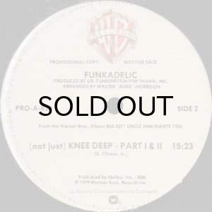 画像3: FUNKADELIC / (NOT JUST) KNEE DEEP (3)