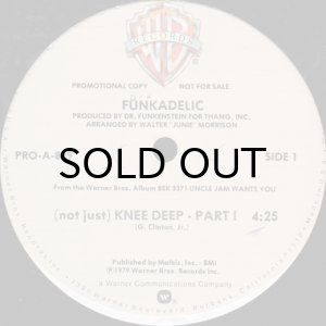 画像2: FUNKADELIC / (NOT JUST) KNEE DEEP (2)