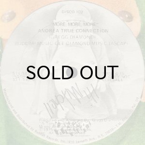 画像2: ANDREA TRUE CONNECTION / MORE, MORE, MORE (12) (2)
