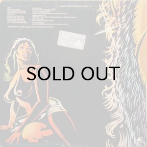 画像2: BANDIT / SAME (2)