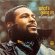 画像1: MARVIN GAYE / WHAT'S GOING ON (LP) (1)