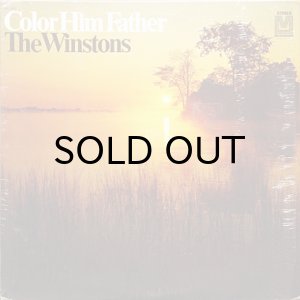 画像1: THE WINSTONS / COLOR HIM FATHER (LP) (1)