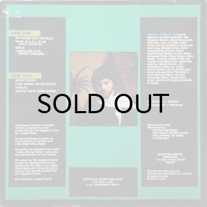 画像2: EGYPTIAN LOVER / ON THE NILE (LP) (2)