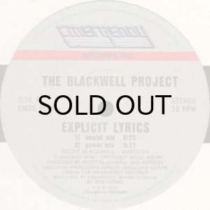 画像1: THE BLACKWELL PROJECT / EXPLICIT LYRICS (12) (1)