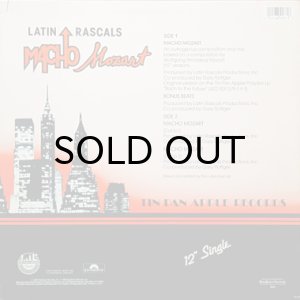 画像2: LATIN RASCALS / MACHO MOZART (2)