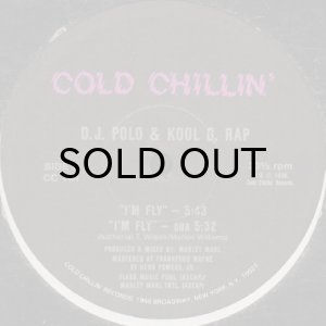 D.J. POLO & KOOL G. RAP / IT'S A DEMO - Breakwell Records