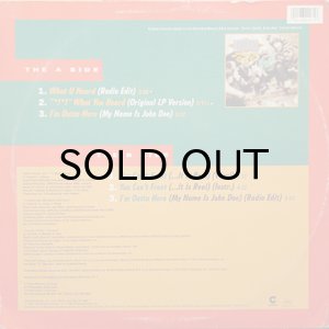 画像2: DIAMOND D & THE PSYCHOTIC NEUROTICS / WHAT U HEARD (2)