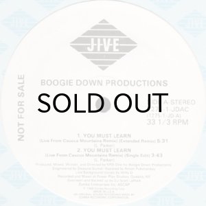 画像3: BOOGIE DOWN PRODUCTIONS / YOU MUST LEARN (12) (3)