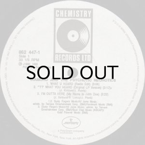 画像3: DIAMOND D & THE PSYCHOTIC NEUROTICS / WHAT U HEARD (3)