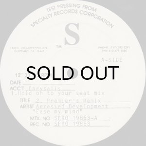 画像2: ARRESTED DEVELOPMENT / EASE MY MIND (DJ PREMIER REMIX) (2)