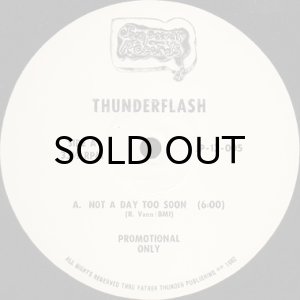 画像3: THUNDERFLASH / NOT A DAY TOO SOON (3)
