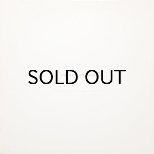 画像2: THUNDERFLASH / NOT A DAY TOO SOON (2)