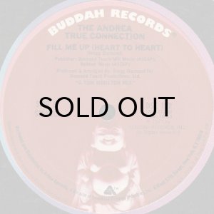 画像2: ANDREA TRUE CONNECTION / WHAT'S YOUR NAME, WHAT'S YOUR NUMBER (2)