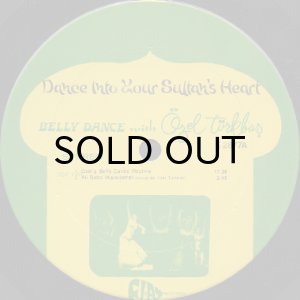 画像3: OZEL TURKBAS / DANCE INTO YOUR SULTAN'S HEART (3)