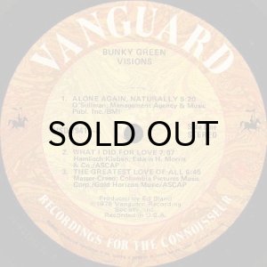画像3: BUNKY GREEN / VISIONS (3)