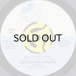 画像2: UNDERGROUND SUNSHINE / BIRTHDAY b/w ALL I WANT IS YOU (45's) (2)