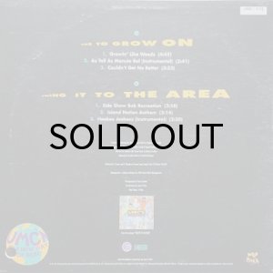 画像2: THE U.M.C.'S / ONE TO GROW ON b/w SWING IT TO THE AREA (2)