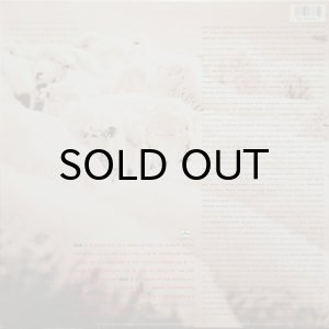 画像2: BLACK SHEEP / A WOLF IN SHEEP'S CLOTHING (2)