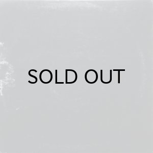 画像2: A TRIBE CALLED QUEST / THE LOW END THEORY (PROMO LP) (2)