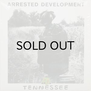 画像1: ARRESTED DEVELOPMENT / TENNESSEE (1)