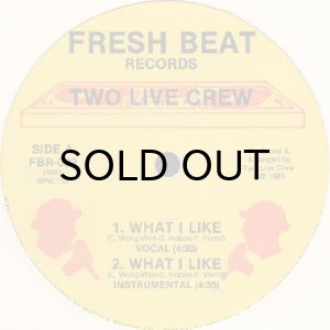 画像1: TWO LIVE CREW / WHAT I LIKE (1)