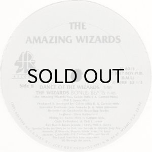 画像2: THE AMAZING WIZARDS / THAT'S UGLY (2)