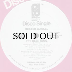 画像2: DEXTER WANSEL / I'LL NEVER FORGET (MY FAVORITE DISCO) (2)