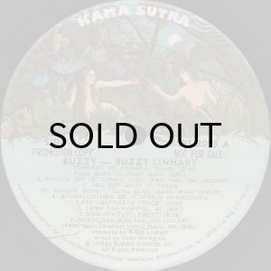 画像3: BUZZY LINHART / BUZZY (3)