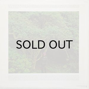 画像2: BOBBY HUTCHERSON / NATURAL ILLUSIONS (2)