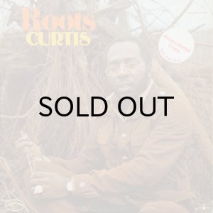 画像1: CURTIS MAYFIELD / ROOTS (1)