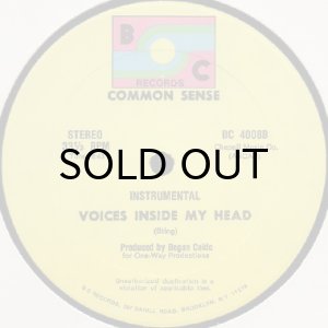 画像2: COMMON SENSE / VOICES INSIDE MY HEAD (2)