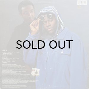 画像2: BLACK SHEEP / STROBELITE HONEY (2)