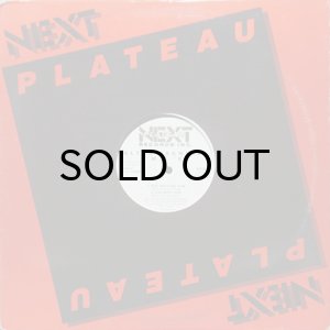 画像3: ULTRAMAGNETIC MC'S / EGO TRIPPING (3)