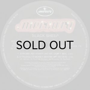 画像3: BLACK SHEEP / STROBELITE HONEY (3)