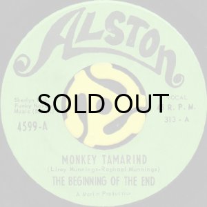 画像1: THE BEGINNING OF THE END / MONKEY TAMARIND (45's) (1)