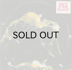 画像2: BLUE JAYS / NASCENCE (2)