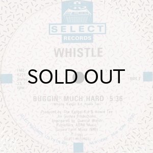画像2: WHISTLE / (NOTHING SERIOUS) JUST BUGGIN' (2)