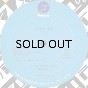 画像1: CYBOTRON / EDEN (1)
