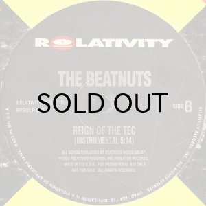 画像3: THE BEATNUTS / REIGN OF THE TEC (3)