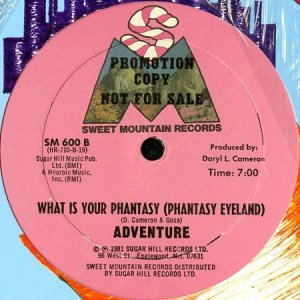 画像2: ADVENTURE / PHANTASY EYELAND (WHAT IS YOUR PHANTASY) (2)