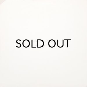 画像2: THUNDERFLASH / ONE TIME TO LEARN (2)