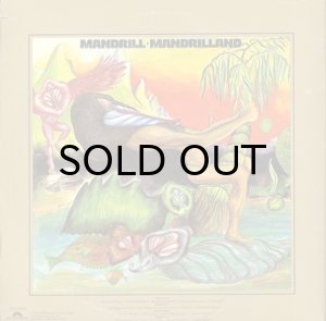 画像2: MANDRILL / MANDRILLAND (2)