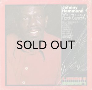 画像1: JOHNNY HAMMOND / WILD HORSES ROCK STEADY (1)