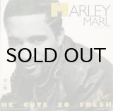 MARLEY MARL feat. CRAIG G. / DROPPIN' SCIENCE - Breakwell