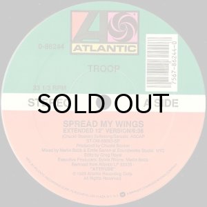 画像3: TROOP / SPREAD MY WINGS (3)