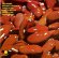 画像2: JIMMY McGRIFF / RED BEANS (2)