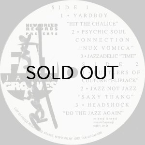 画像3: V.A. / FAT JAZZY GROOVES 5 (3)