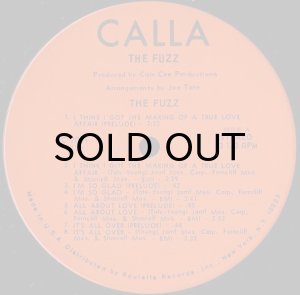 画像3: THE FUZZ / SAME (3)